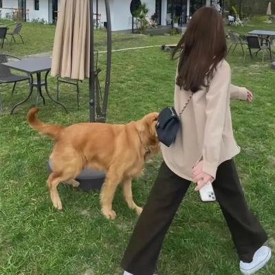 情杀案中案